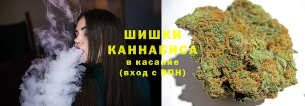 гашик Беломорск