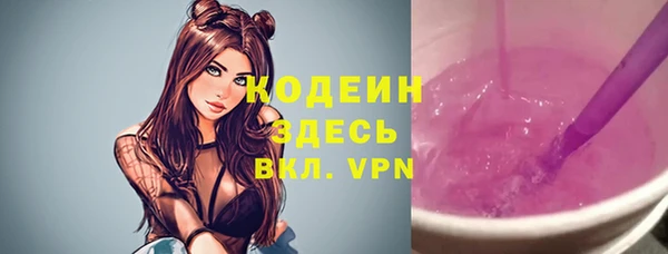 хмурый Богородск