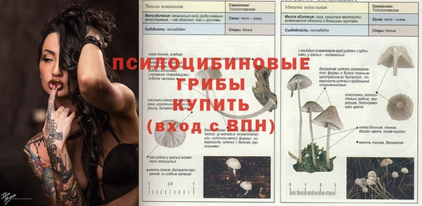 хмурый Богородск
